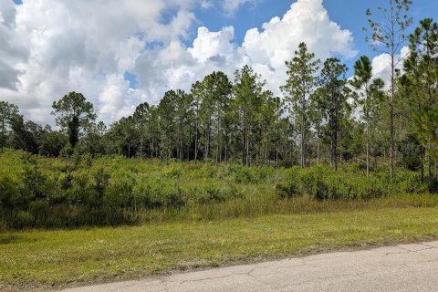Land in Indian lake estates, Florida № 1873309 - photo 1