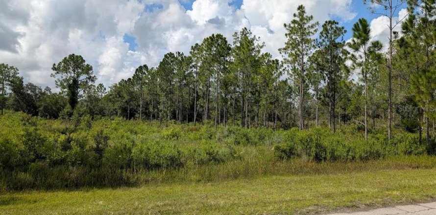 Land in Indian lake estates, Florida № 1873309