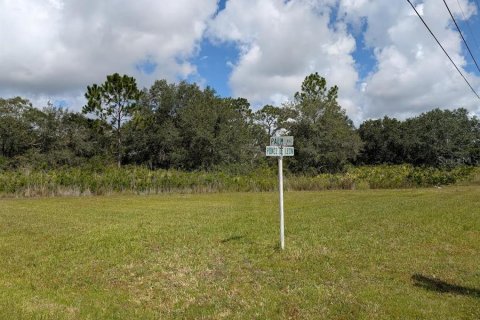 Land in Indian lake estates, Florida № 1873309 - photo 2