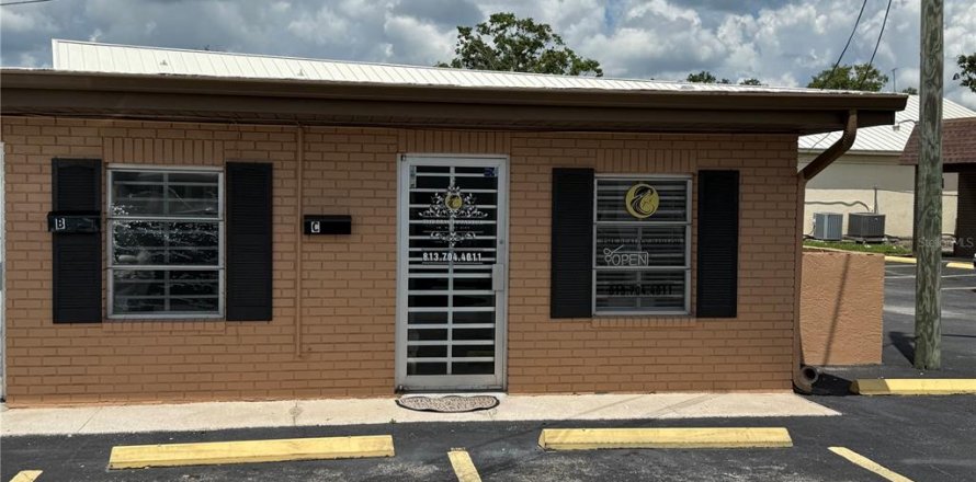 Propiedad comercial en Plant City, Florida 46.45 m2 № 1906112