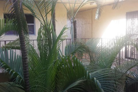 Condo à North Miami, Floride, 2 chambres  № 2089191