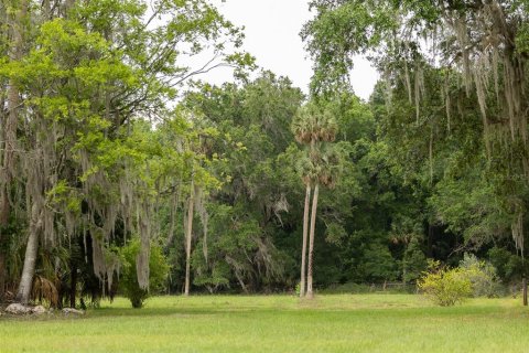 Terrain à vendre à Citra, Floride № 2097898 - photo 10