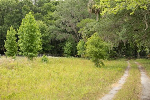 Terrain à vendre à Citra, Floride № 2097898 - photo 4