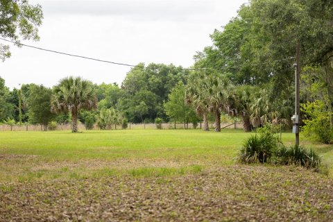 Terrain à vendre à Citra, Floride № 2097898 - photo 5