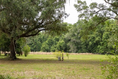 Terrain à vendre à Citra, Floride № 2097898 - photo 6