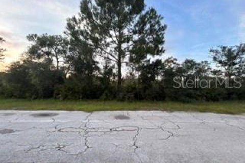 Land in Indian lake estates, Florida № 2290970