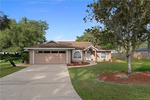 Villa ou maison à vendre à Inverness, Floride: 3 chambres, 147.9 m2 № 2406987 - photo 3