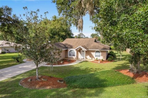 Villa ou maison à vendre à Inverness, Floride: 3 chambres, 147.9 m2 № 2406987 - photo 6