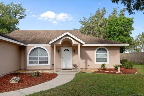 Villa ou maison à vendre à Inverness, Floride: 3 chambres, 147.9 m2 № 2406987 - photo 8