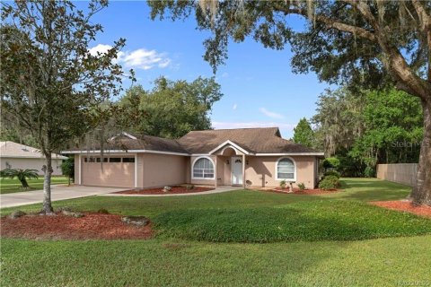 Villa ou maison à Inverness, Floride 3 chambres, 147.9 m2 № 2406987