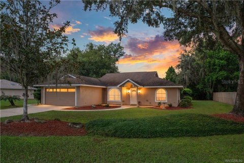 Villa ou maison à vendre à Inverness, Floride: 3 chambres, 147.9 m2 № 2406987 - photo 2