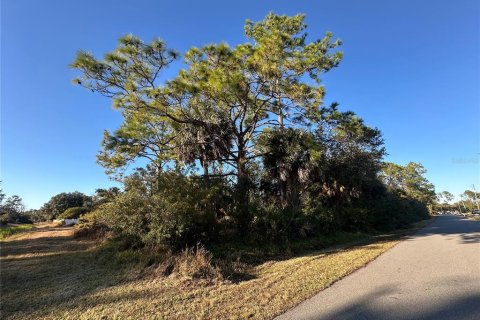 Land in North Port, Florida № 2158764