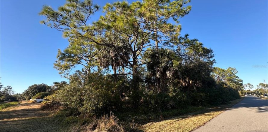 Land in North Port, Florida № 2158764