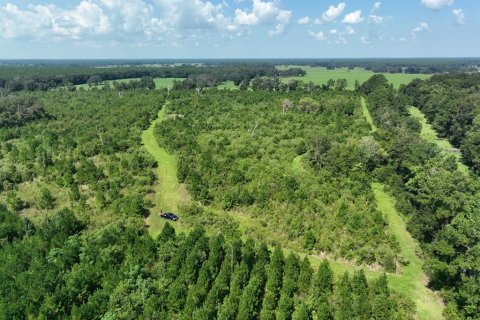 Land in Morriston, Florida № 1374725 - photo 10