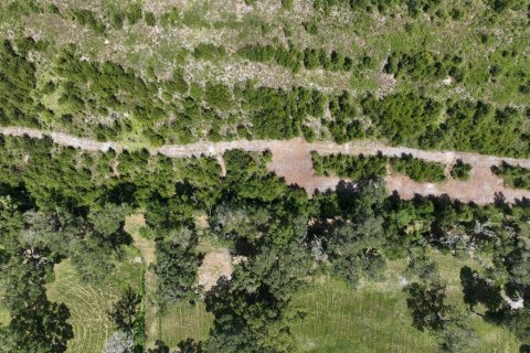 Land in Morriston, Florida № 1374725 - photo 12