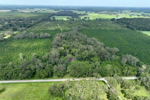Land in Morriston, Florida № 1374725 - photo 9