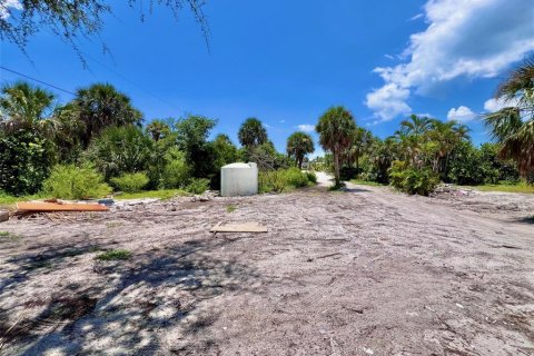Land in Placida, Florida № 1894537 - photo 5