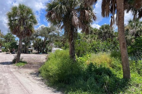 Land in Placida, Florida № 1894537 - photo 3