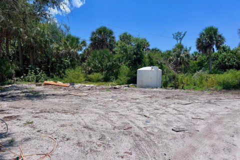 Land in Placida, Florida № 1894537 - photo 2