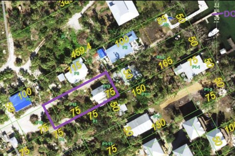 Land in Placida, Florida № 1894537 - photo 1