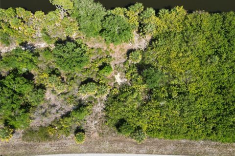 Land in Port Charlotte, Florida № 2165651 - photo 5