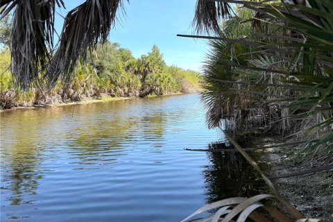 Land in Port Charlotte, Florida № 2165651 - photo 3