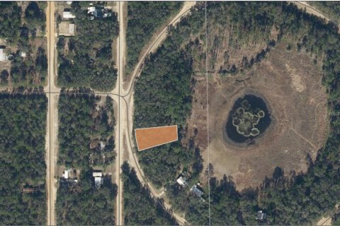 Land in Interlachen, Florida № 2160694 - photo 3