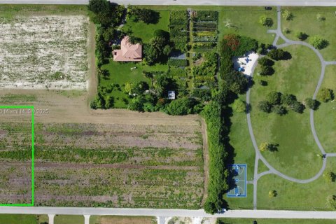 Terrain à Homestead, Floride № 2053894