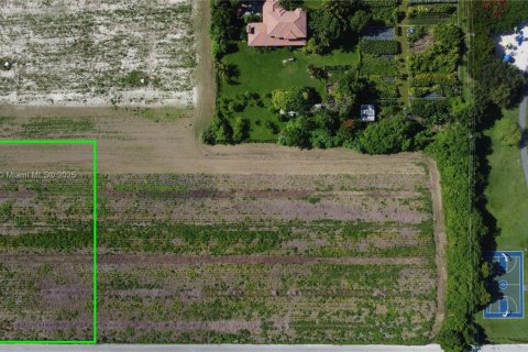 Terrain à vendre à Homestead, Floride № 2053894 - photo 4