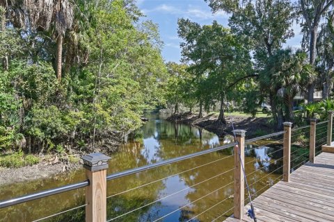 Villa ou maison à vendre à Inverness, Floride: 3 chambres, 142.88 m2 № 2413597 - photo 21
