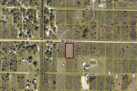 Land in Okeechobee, Florida № 2161785 - photo 2