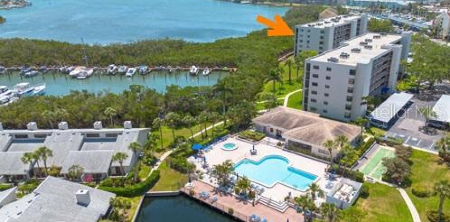 Condo in South Pasadena, Florida, 2 bedrooms № 2142032