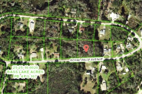 Land in New Port Richey, Florida № 2212461 - photo 2