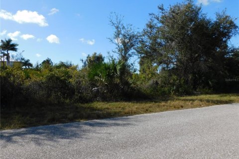 Land in Port Charlotte, Florida № 2161862