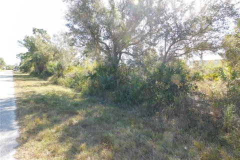 Land in Port Charlotte, Florida № 2161862 - photo 2