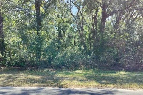 Land in Inverness, Florida № 2161156