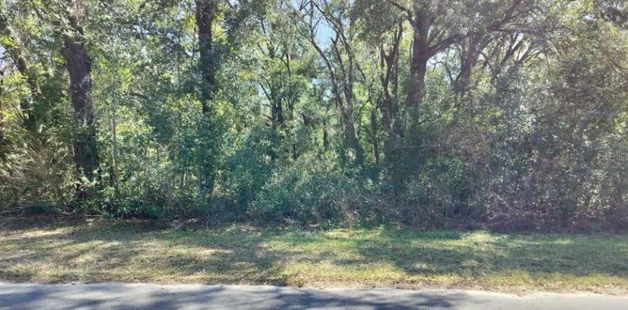 Land in Inverness, Florida № 2161156