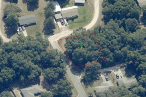 Land in Inverness, Florida № 2161156 - photo 14