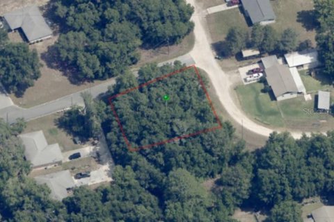 Land in Inverness, Florida № 2161156 - photo 4