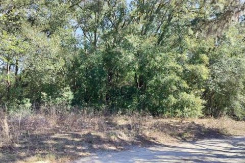 Land in Inverness, Florida № 2161156 - photo 10