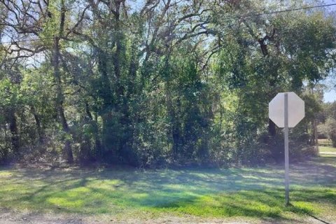 Land in Inverness, Florida № 2161156 - photo 2