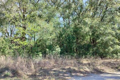 Land in Inverness, Florida № 2161156 - photo 9
