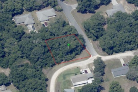 Land in Inverness, Florida № 2161156 - photo 15