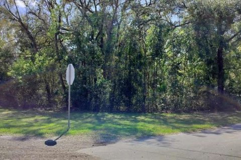 Land in Inverness, Florida № 2161156 - photo 8