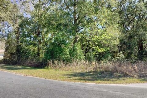 Land in Inverness, Florida № 2161156 - photo 3