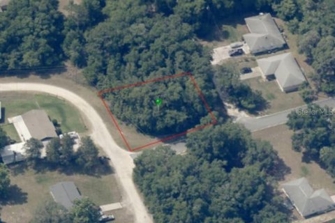 Land in Inverness, Florida № 2161156 - photo 12