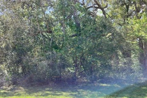 Land in Inverness, Florida № 2161156 - photo 6
