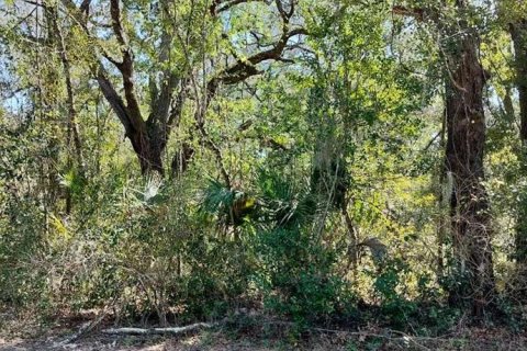 Land in Inverness, Florida № 2161156 - photo 11