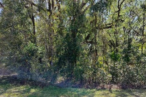 Land in Inverness, Florida № 2161156 - photo 5