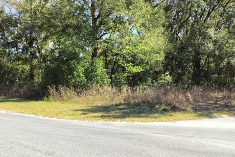 Land in Inverness, Florida № 2161156 - photo 7
